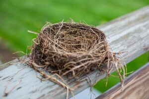 Empty Nest Syndrome Blog | Momentum Energy Coaching